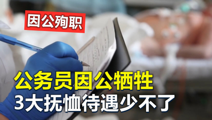 香港奥门彩资料大全最新最快,名下3公司老人五保户申请受阻,决策资料解释落实_云端版V14.56